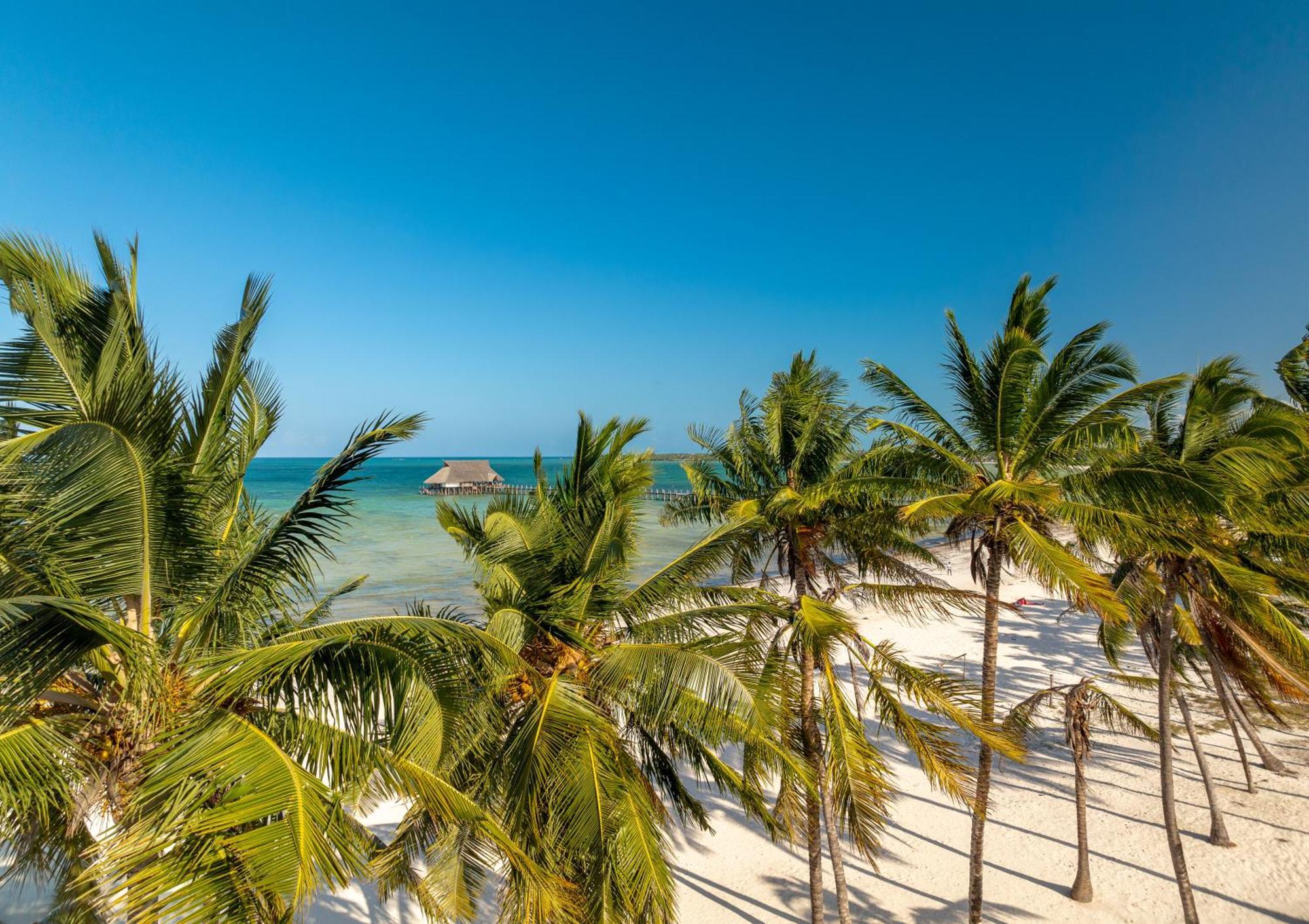 Karibu Beach Resort Pongwe Exteriér fotografie